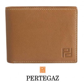 CARTERA -PERTEGAZ-*